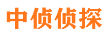 赤坎市婚外情调查